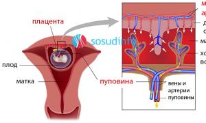 What blood flow problems occur during pregnancy What is decreased blood flow during pregnancy