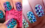 Leopard spots: instructions for creating