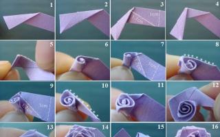 Origami papīra roze: vairākas vienkāršas montāžas iespējas