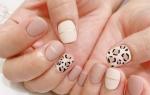 Varieties of leopard manicure for long and short nails