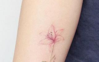 Skaisti tetovējumi meitenēm
