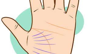 Palmistry: how to find out by hand how many children there will be Add your price to the database Comment Lines of children from different marriages on the hand